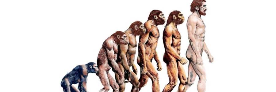 Teori Evolusi